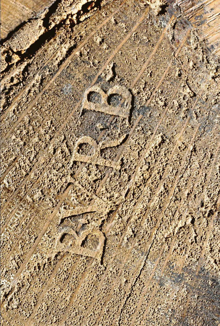 ルイ15世の箪笥、1740年頃（オルモルに取り付けられたチャイニーズブラック、ポリクローム、ギルトラッカー、蛇紋石、大理石、ヴェルニス） 作： バーナード・ファン・リサンバラ