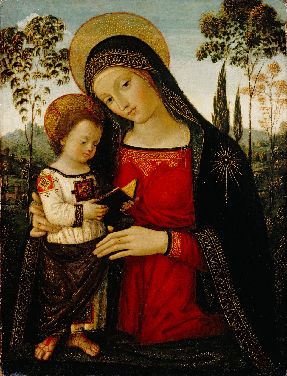 マドンナと子供、c.1490-1495（パネル上のテンペラ） 作： ベルナルディーノ・ディ・ベット・ピントゥリッキオ