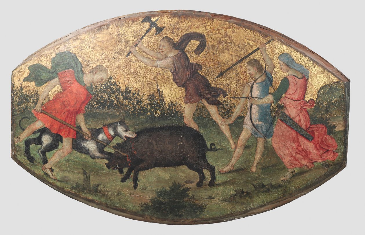 カリュドニアのイノシシの狩り、約。 1509年。 作： Bernardino Pinturicchio