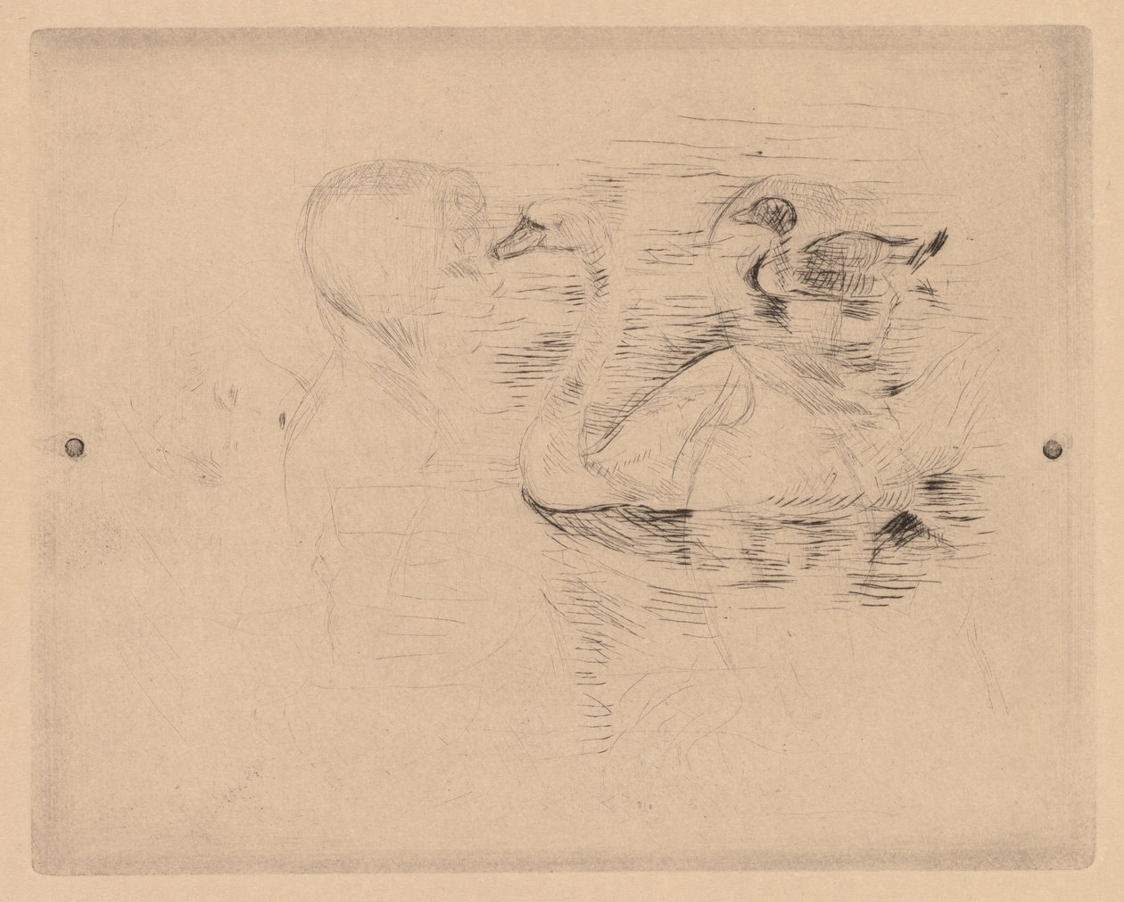 白鳥とアヒル、ジュリーの肖像画 作： ベルト・モリゾ