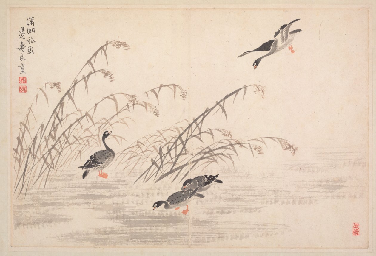 書道と絵画のアルバム、18世紀。 作： ビアン・ショウミン