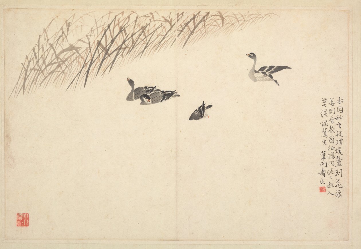 書道と絵画のアルバム、18世紀。 作： ビアン・ショウミン