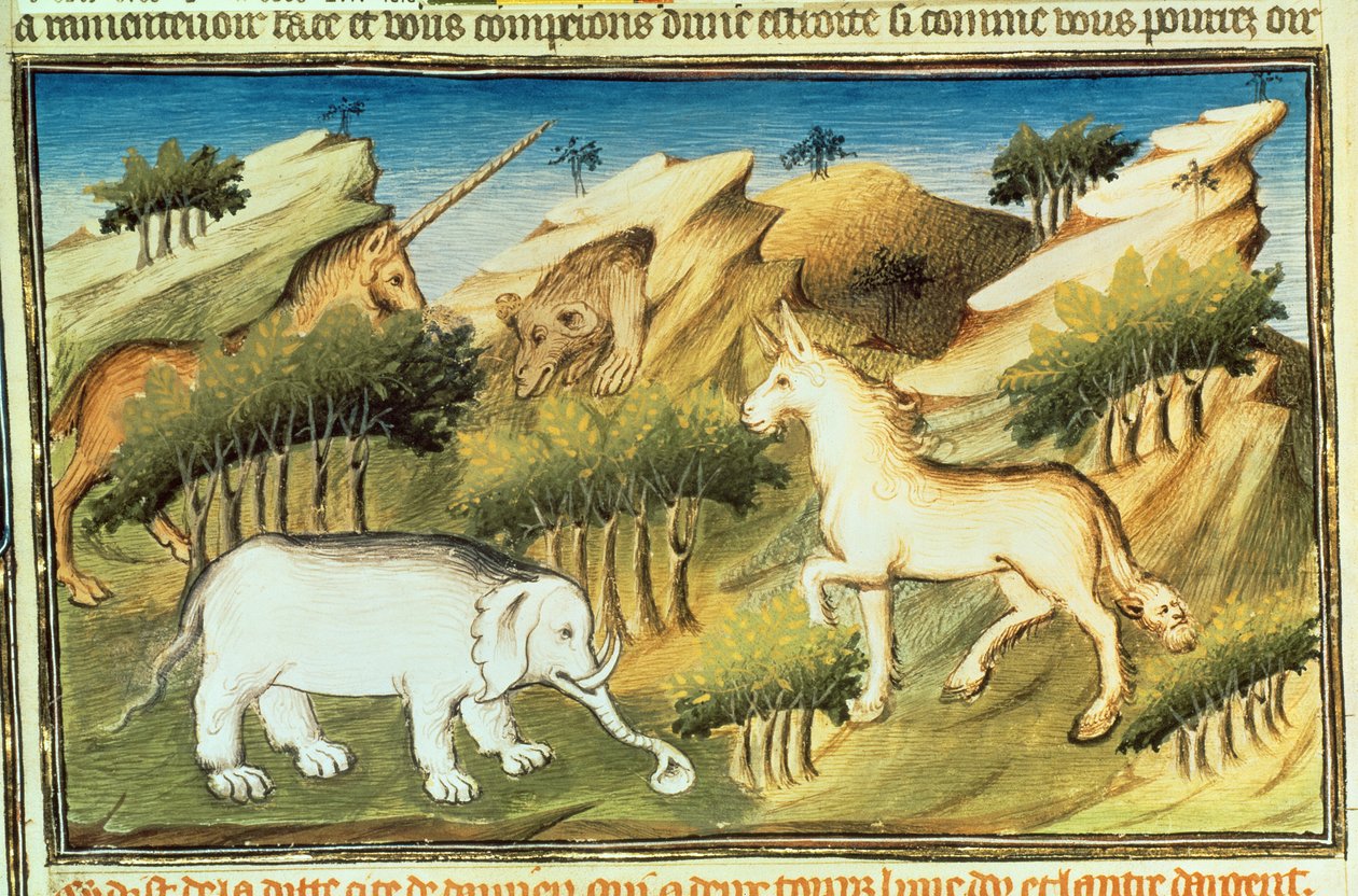 Ms Fr 2810 f.59v、 &39;Livre des Merveilles du Monde&39;、c.1410-12（velera on vellum）の荒野の神話上の動物 作： ブシコーマスター