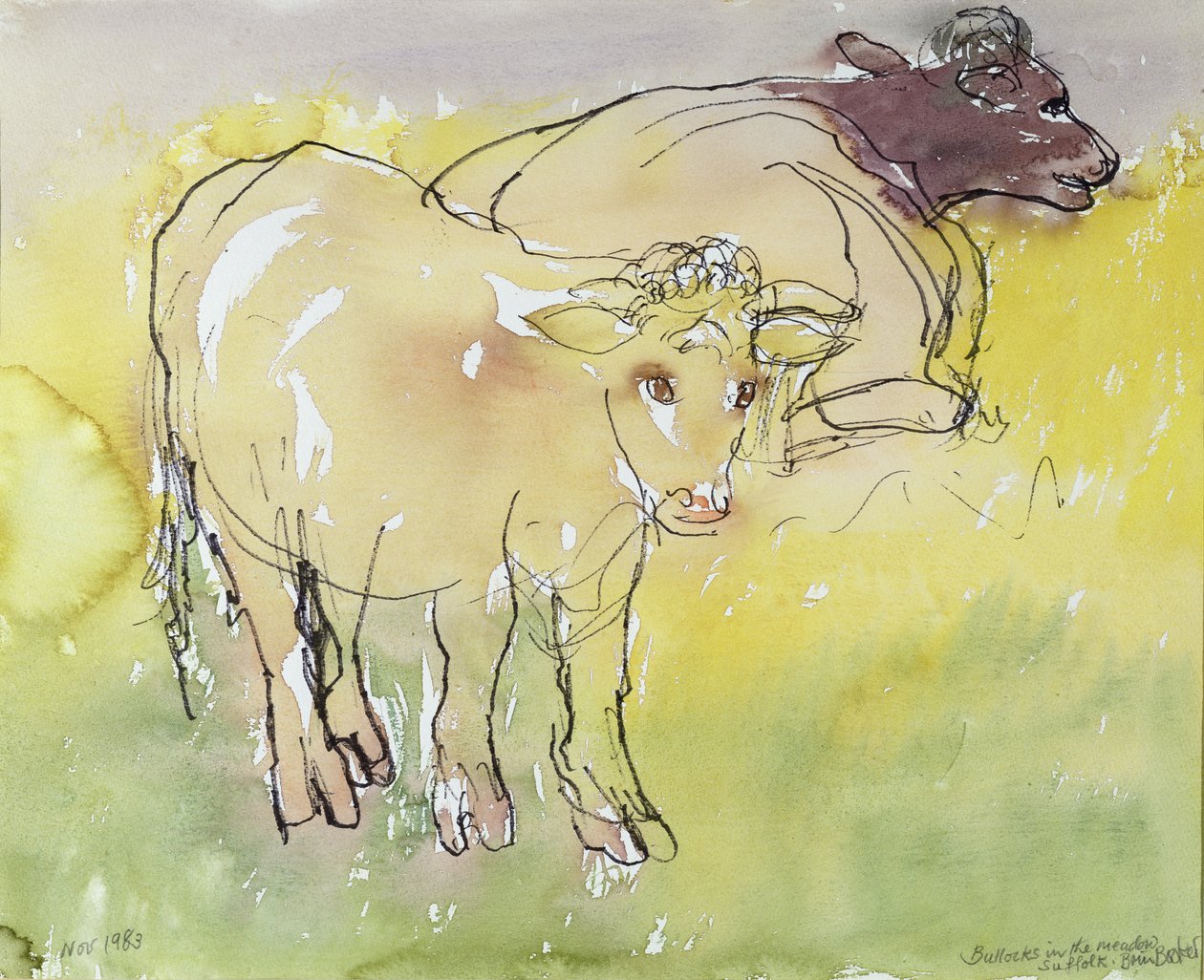 1983年の牧草地の若いBullocks（紙にトイレとペンとインク） 作： ブレンダブリンブッカー