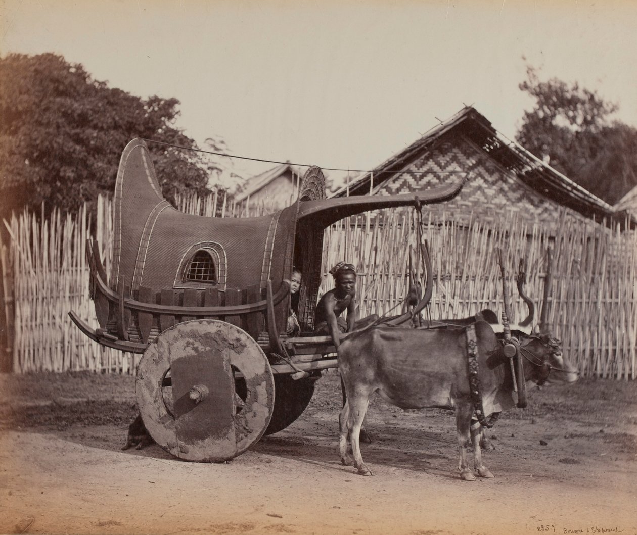 カントリーカート、ビルマ（1886-88） 作： イギリスの写真家