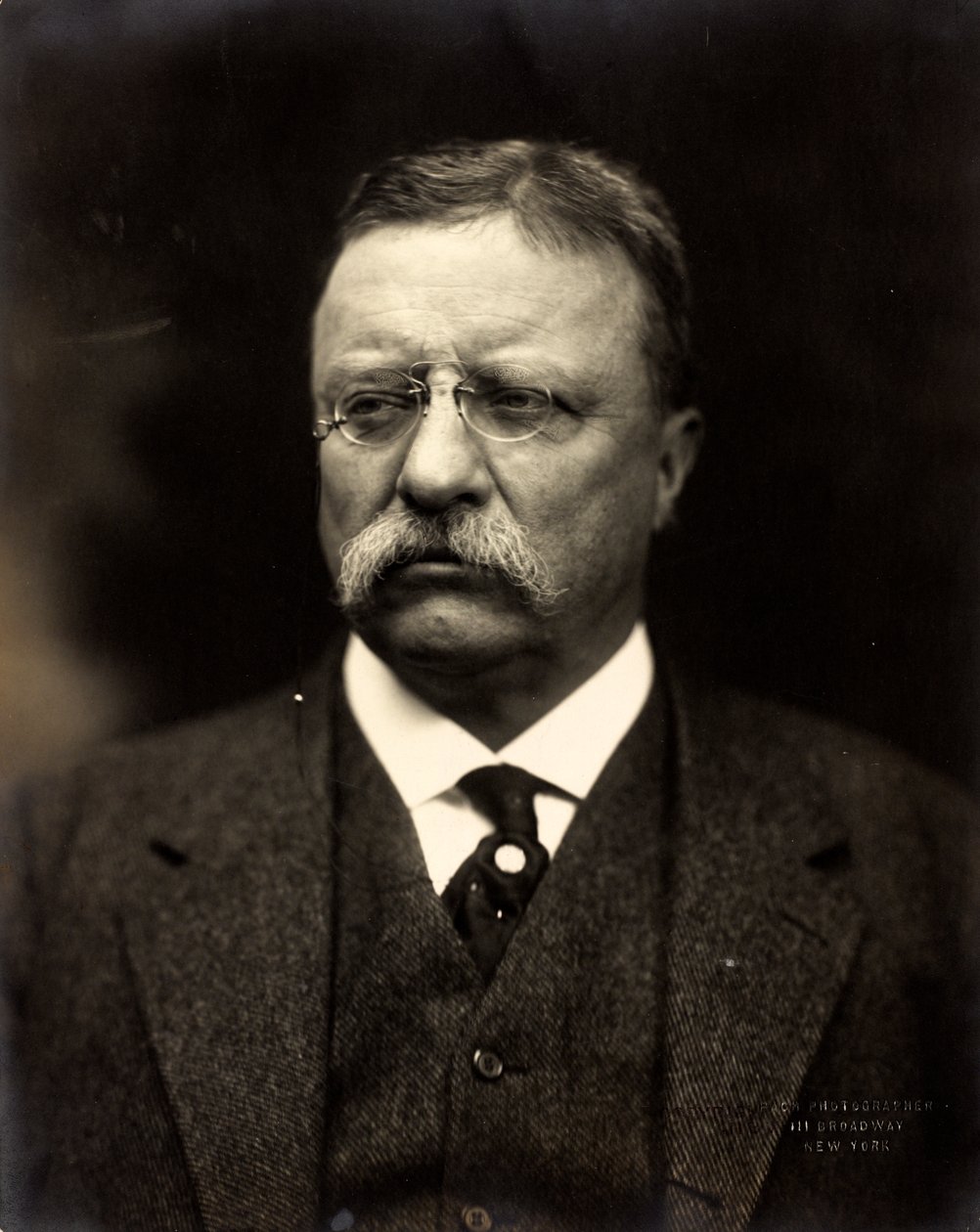 セオドア・ルーズベルト、1915年頃（白黒写真） 作： ブラザーズパック