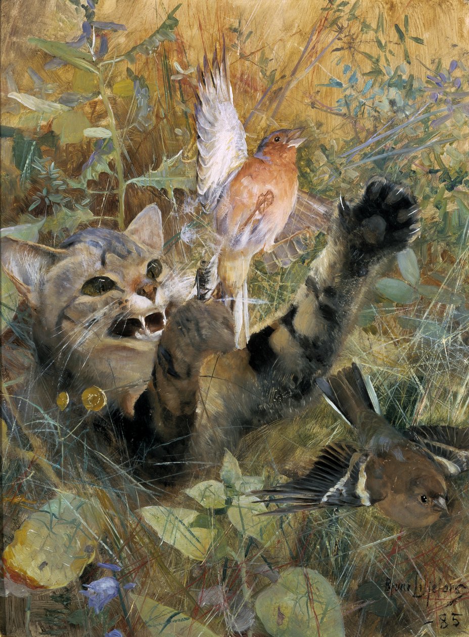 猫とチャットフィンチ、1885 作： ブルーノ・アンドレアス・リリエフォース