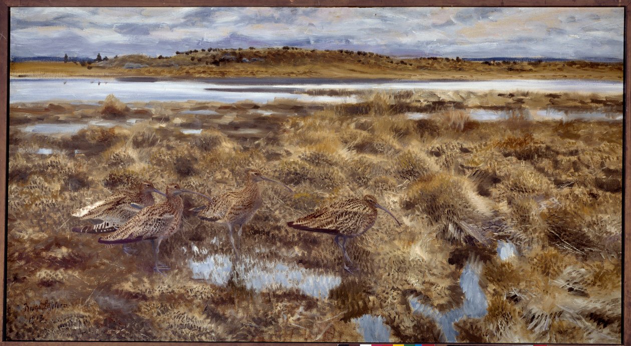 Curlews 湿地の鳥。 Bruno Andreas Liljefors (1860-1939) による絵画 1913 日。 1,19x2,2メートル 作： ブルーノ・アンドレアス・リリエフォース