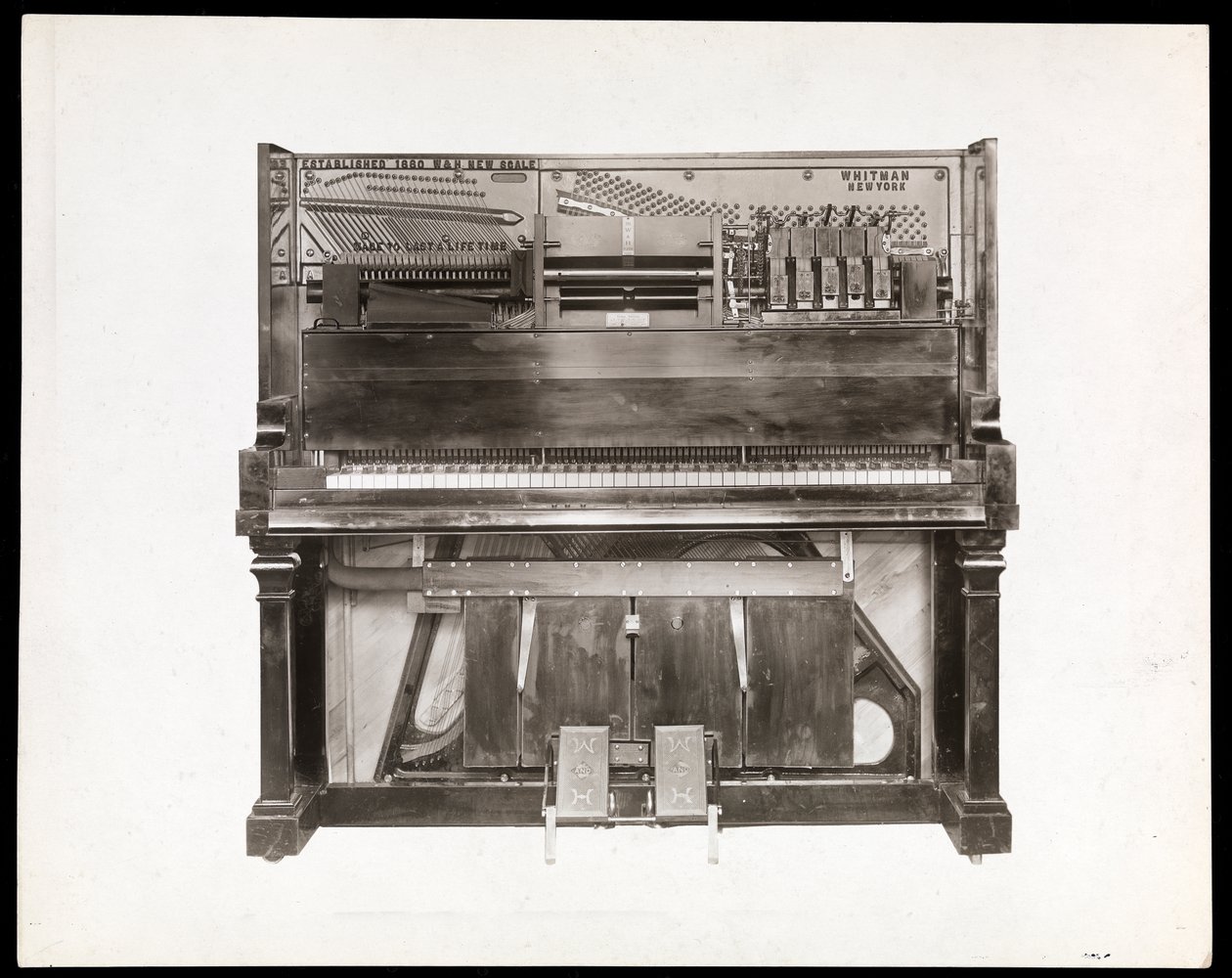 プレイヤーピアノ、1915-16（銀ゼラチンプリント） 作： バイロンカンパニー
