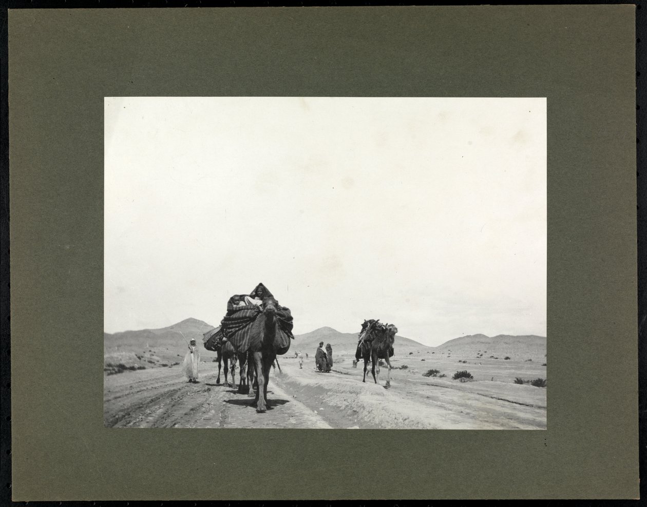 恐らく北アフリカにある未舗装の道路のラクダ、1899年（銀ゼラチンプリント） 作： バイロンカンパニー