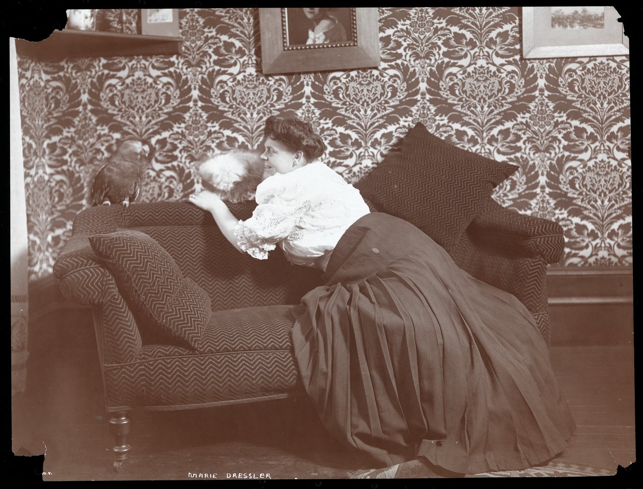 犬とオウムと一緒に家にいるマリードレスラー、1905年（シルバーゼラチンプリント） 作： バイロンカンパニー