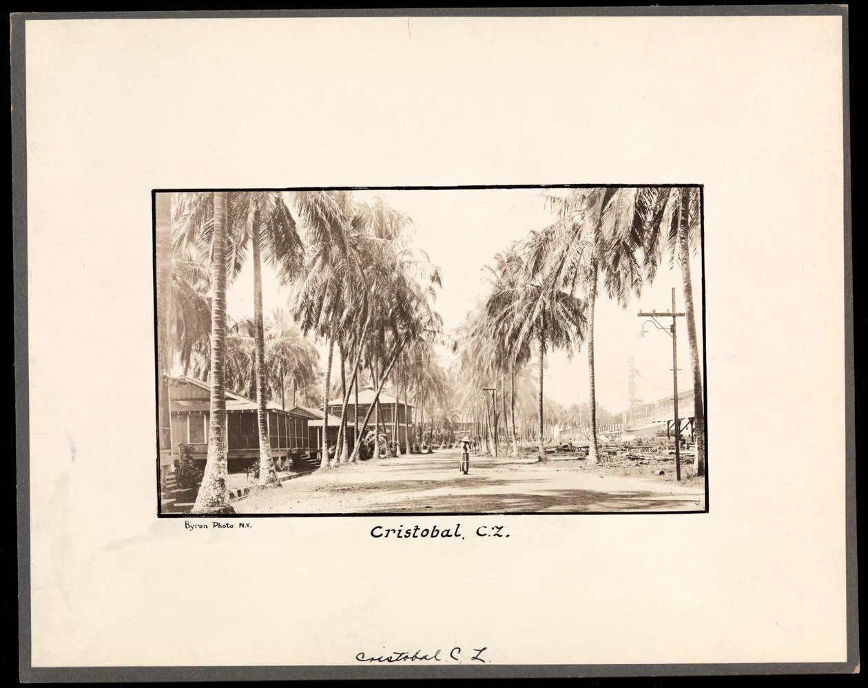 1912年または1913年の運河の建設中のパナマのクリストバルを通る未舗装の道路にヤシの木が並ぶ景色（銀ゼラチンプリント） 作： バイロンカンパニー