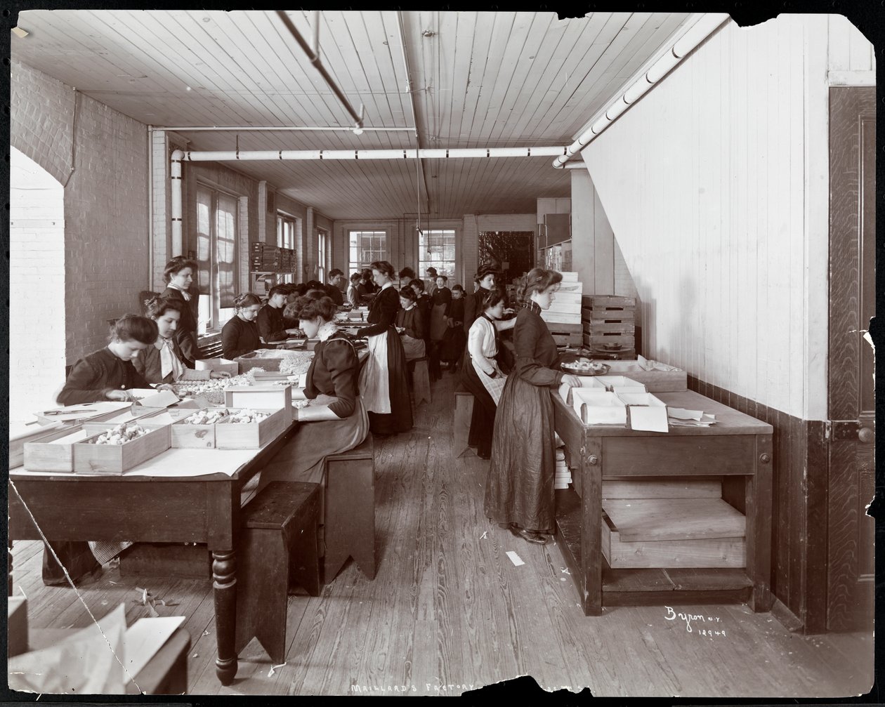 Maillard&39;s Chocolate Manufacturers、116118 West 25th Street、ニューヨーク、1902年にキャンディーを包装する女性たち（シルバーゼラチンプリント） 作： バイロンカンパニー