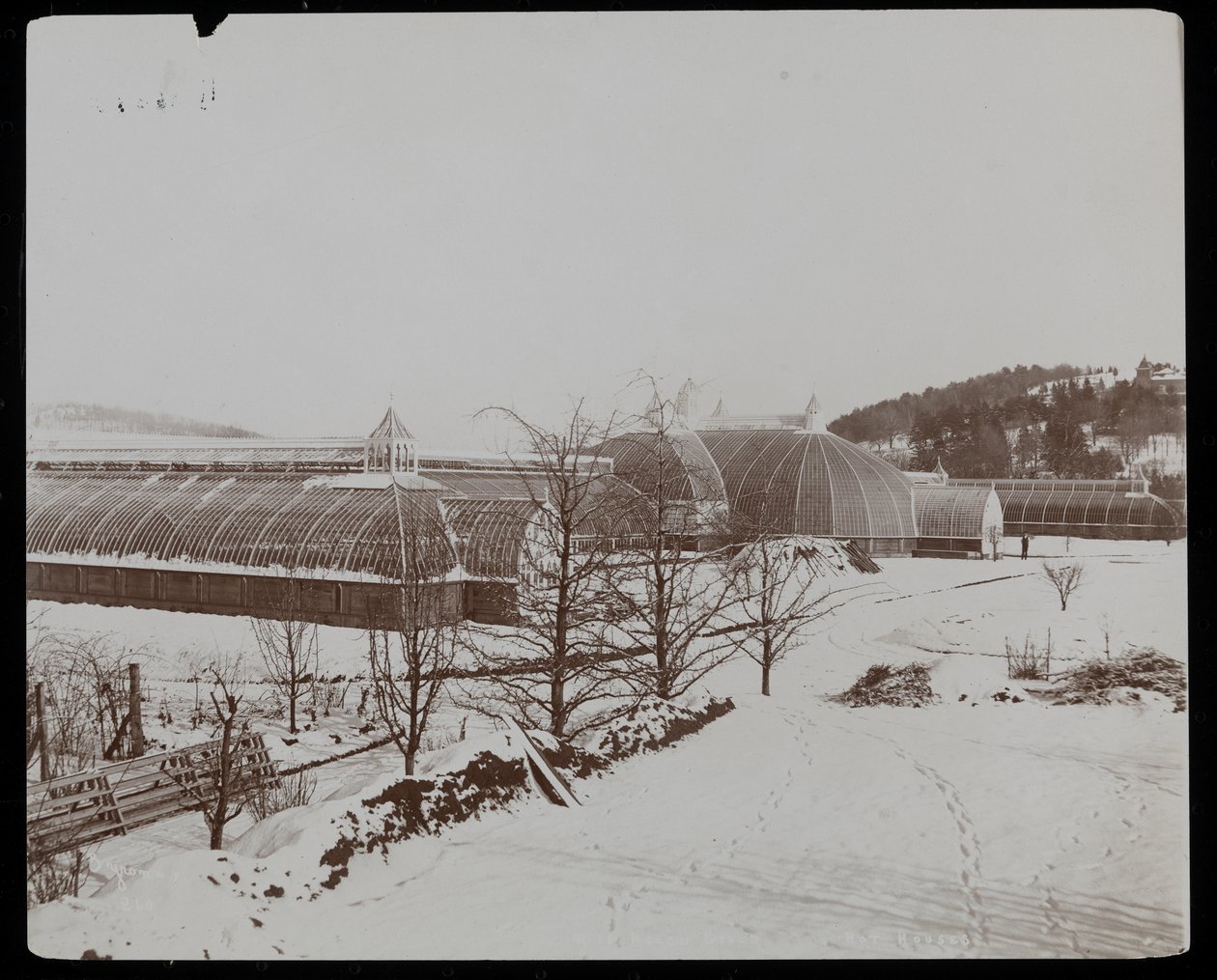 1894年、ニューヨークのタリータウンにあるヘレングールド邸（ジェイグールド邸後期）の雪の中の温室（銀ゼラチンプリント） 作： バイロンカンパニー