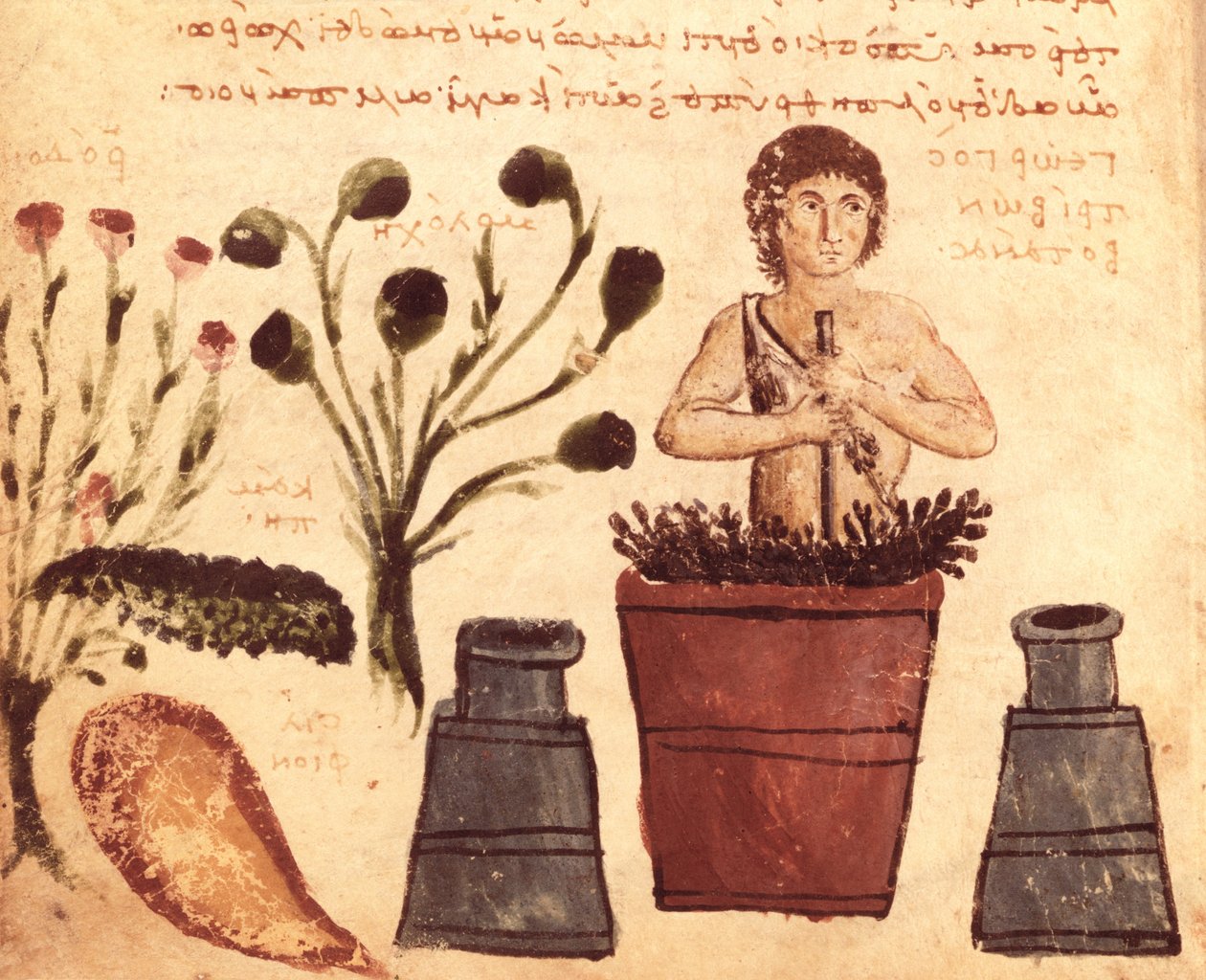 Ms Supp Grec 247 fol.5コロフォンのニカンデルのテリアカからヘビから守るために軟膏を準備する農民（紀元前2世紀） 作： ビザンチン