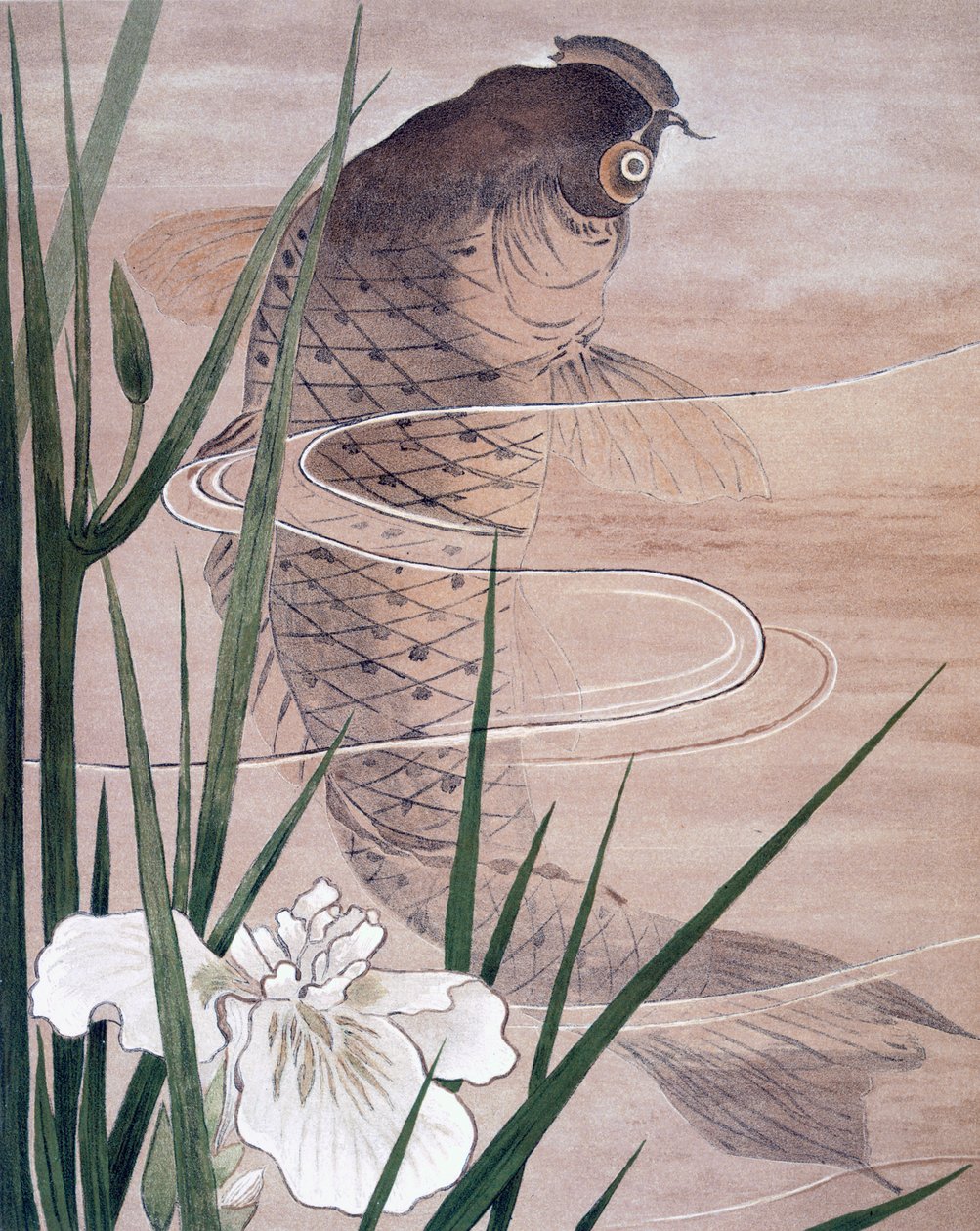 魚 作： CFケル