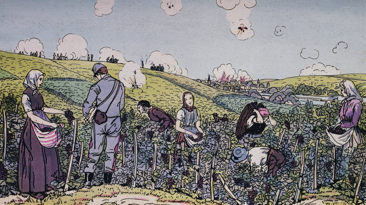 戦火の中で収穫したワイン生産者たち、1914年のシャンパーニュ地方の収穫、第一次世界大戦、フランス、20世紀 作： JBとブラウンJ.とロウボサム