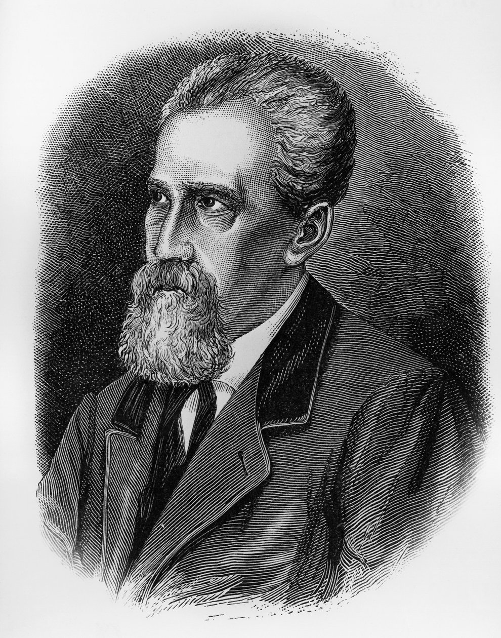 イタリアの軍人、将軍、愛国者、政治家であるジュゼッペ・シルトリ（1813-1874）の肖像、エングレービング 作： JBとブラウンJ.とロウボサム
