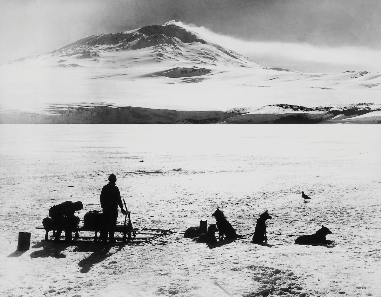 ロバート・ファルコン・スコット（1868-1912）による南極探検隊、ロス島のエレバス火山の前で、1月15日 作： JBとブラウンJ.とロウボサム