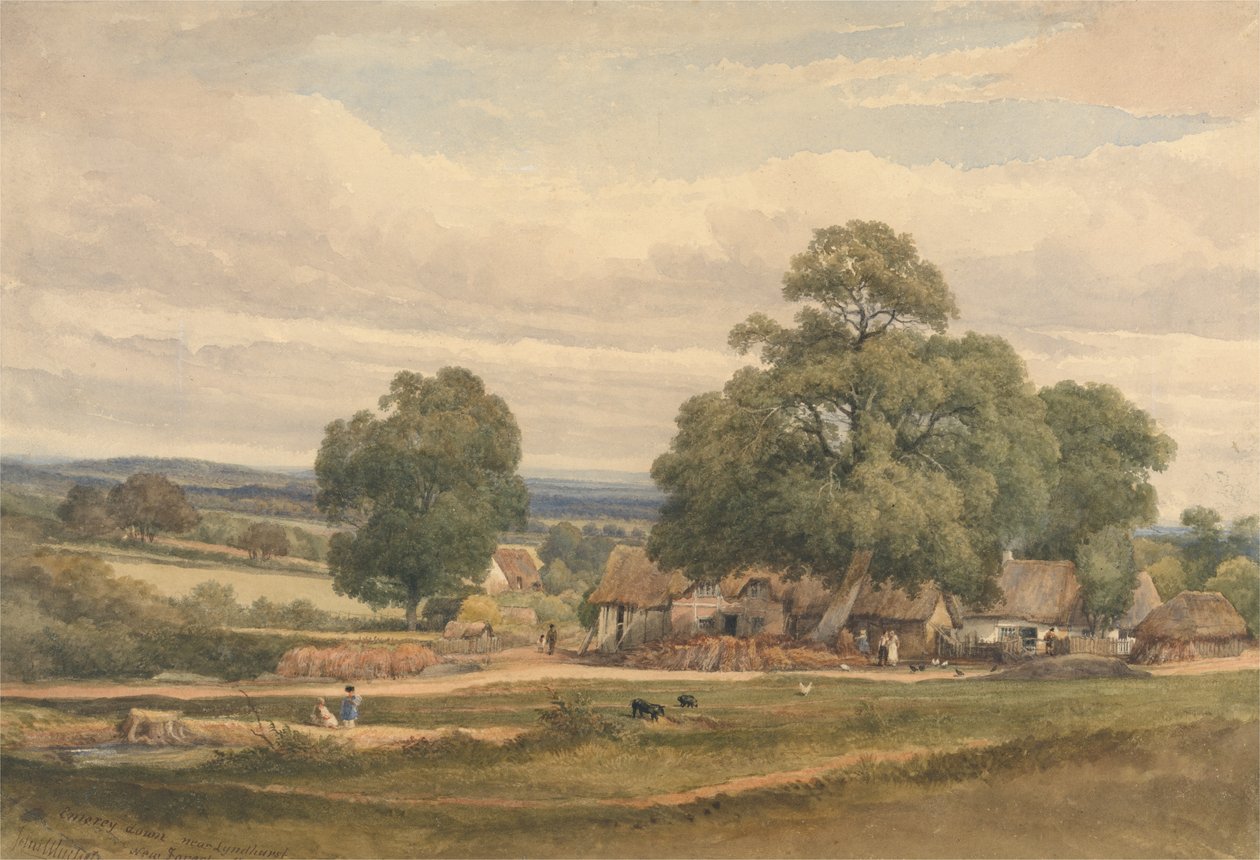 Emerey Down near Lyndhurst, New Forest, Hants (水彩・グラファイト・紙)