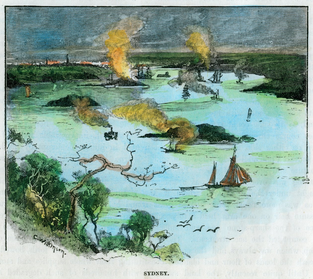 シドニー、ニューサウスウェールズ州、オーストラリア、c1885。 作： C.ウィルキンソン