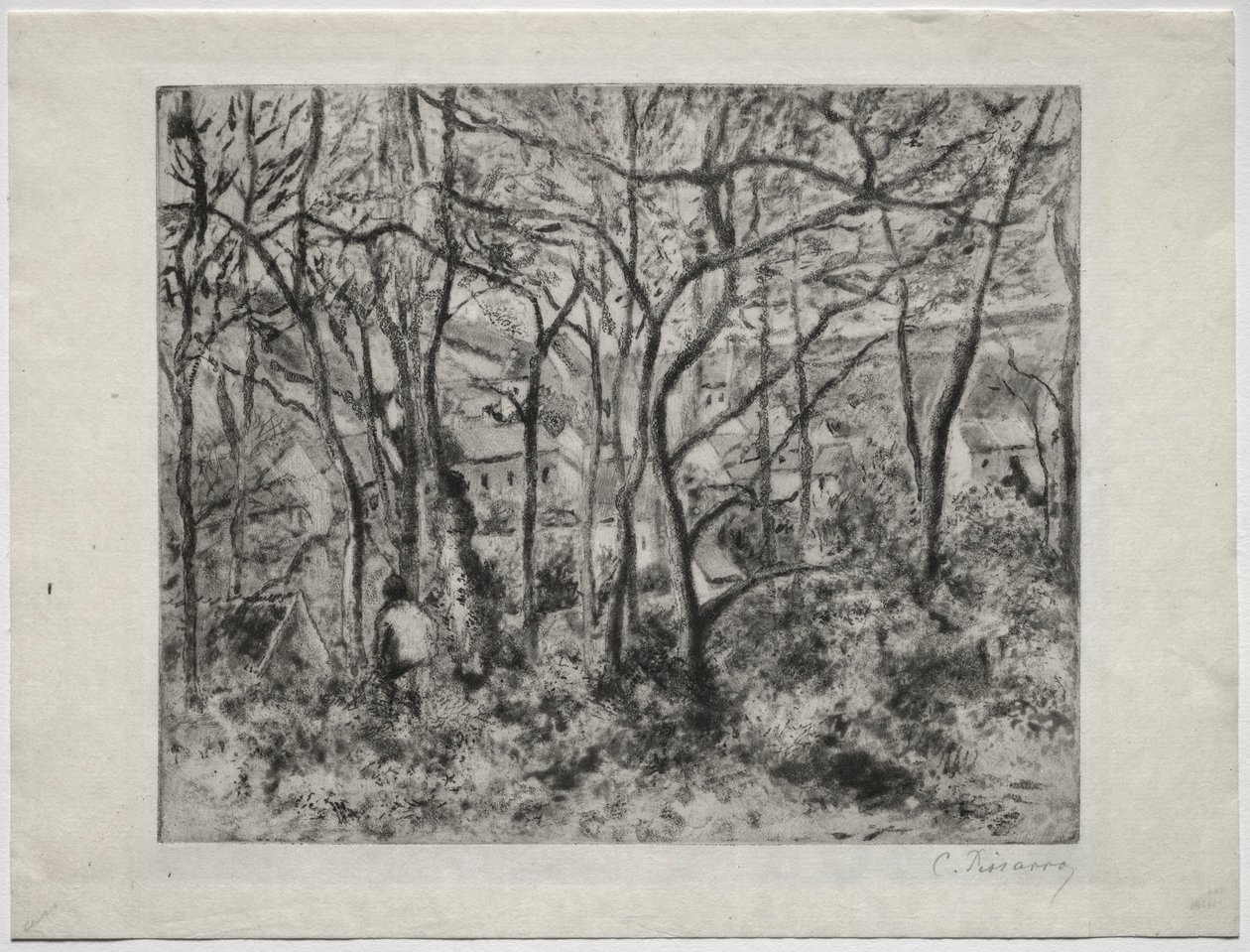 エルミタージュ、ポントワーズ、1879年の樹木が茂った風景。 作： カミーユ・ジェイコブ・ピサロ