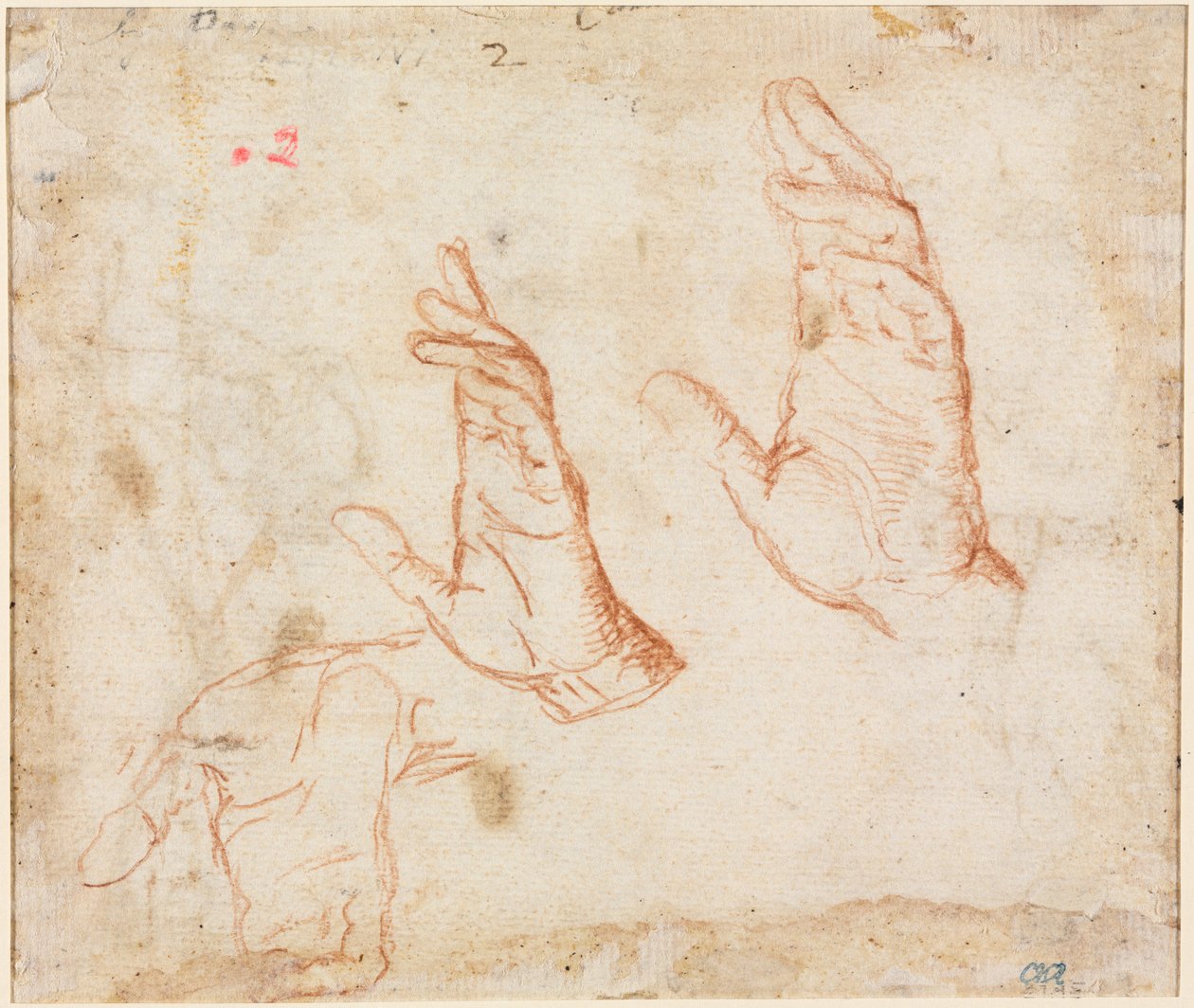 Hands versoの研究c。 1590。 作： カミロ・プロカチーニ