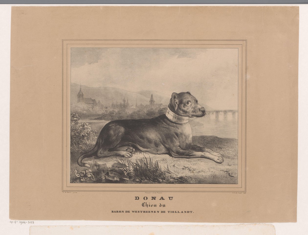 ドナウ川の犬 ドナウ。 Chien du Baron de Westreenen de Tiellandt (オブジェクトのタイトル) 作： カレルクリスティアンアントニーラスト