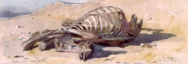 ラクダの骨、スエズ 作： カール・ハーグ