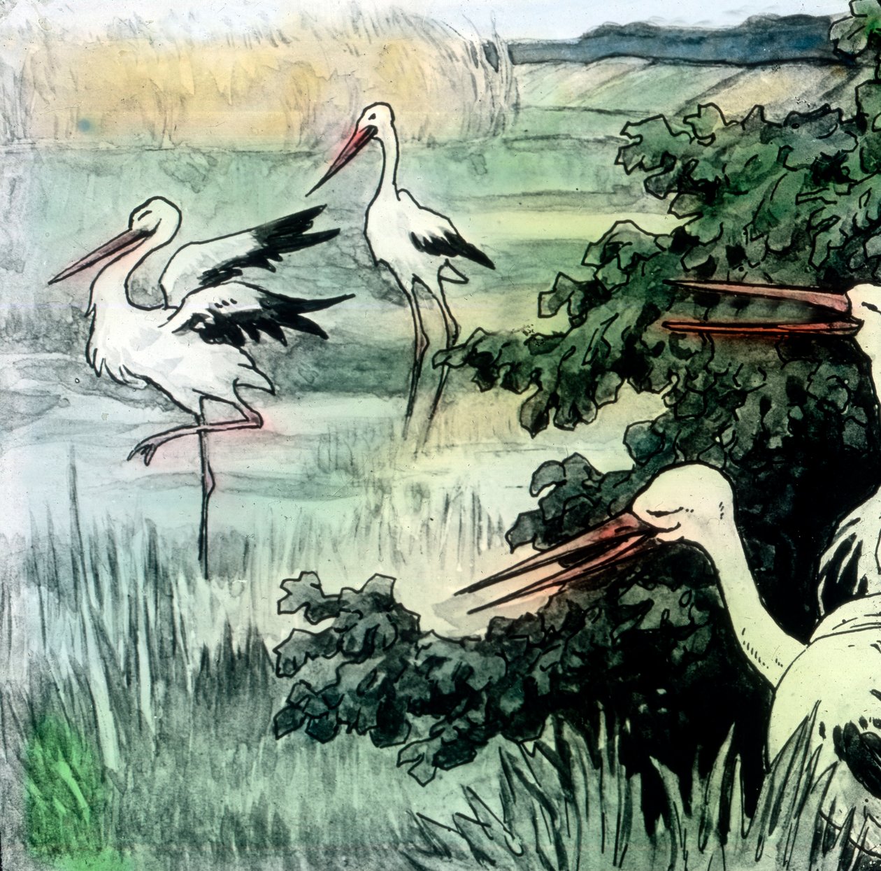 Wilhelm Hauff - Fairy Tales - コウノトリのカリフ。画像は1910年頃のもの。カール・サイモン・アーカイブ 作： カール・サイモン