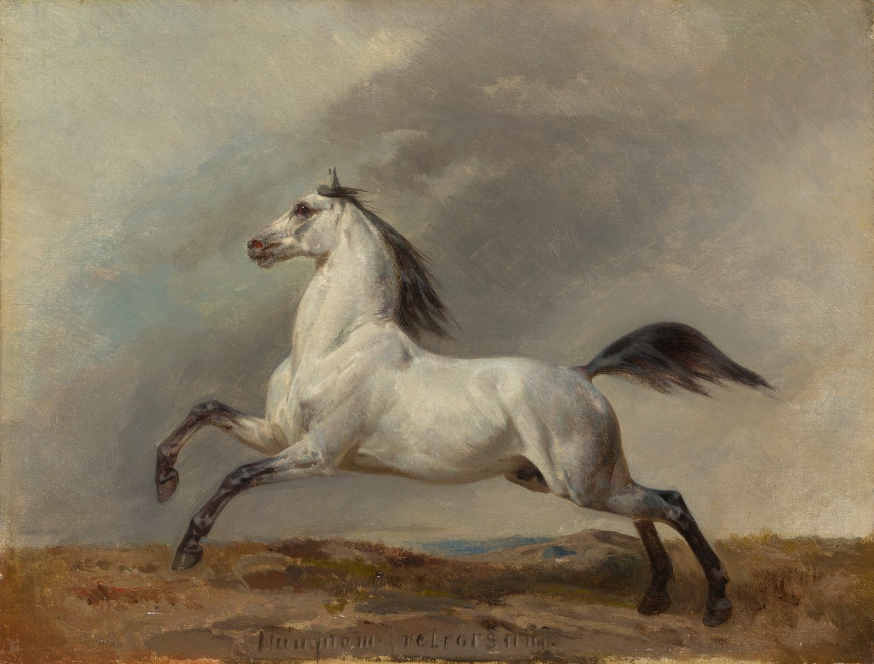 左の灰色の種牡馬 作： カールシュテフェック
