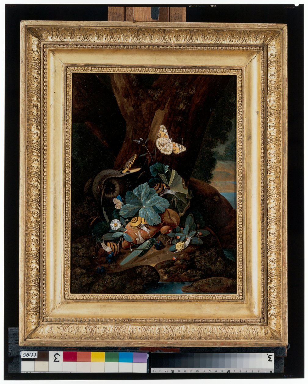 カタツムリ、ヘビ、トカゲ、蝶のいる森の静物画 作： カール・ウィルヘルム・デ・ハミルトン