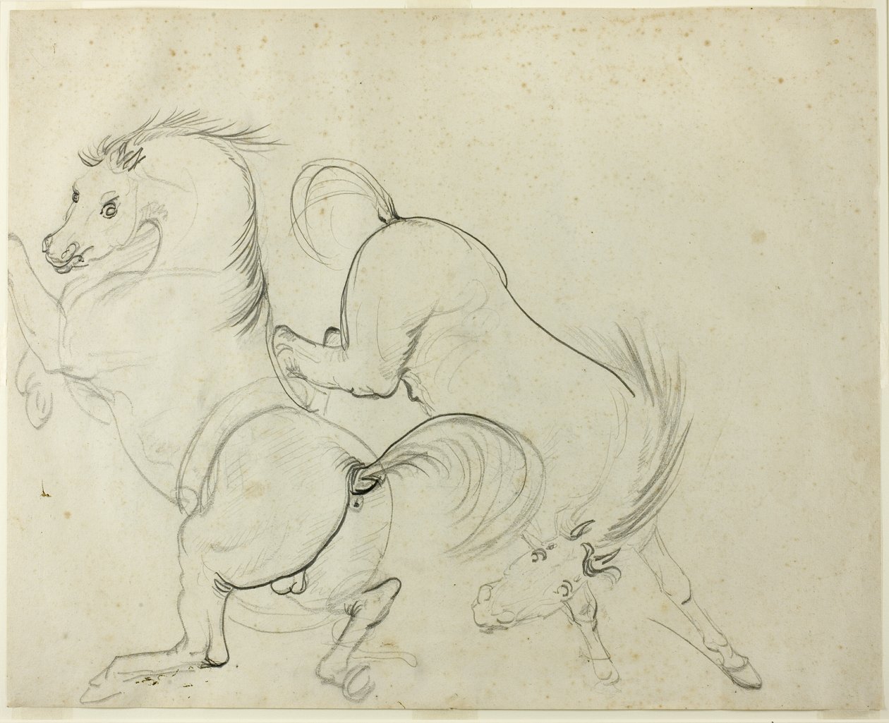 2 頭の馬の Cavorting (直腸); 蹴る馬に乗った男 (裏面) 作： カール・ヴェルネ
