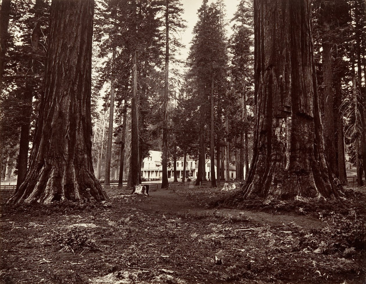 カリフォルニア州マンモス グローブのホテル。 1872年、約印刷。 1876年。 作： カールトン・エモンズ・ワトキンス