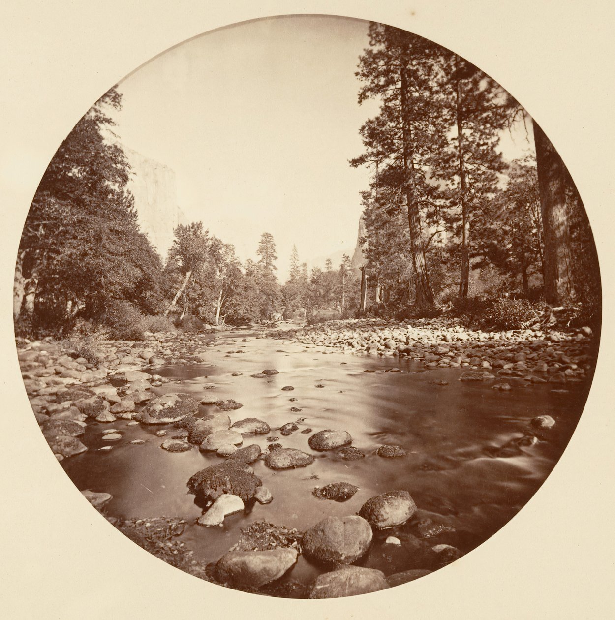 [カリフォルニア州ヨセミテ国立公園]、カリフォルニア州。 1878年。 作： カールトン・エモンズ・ワトキンス