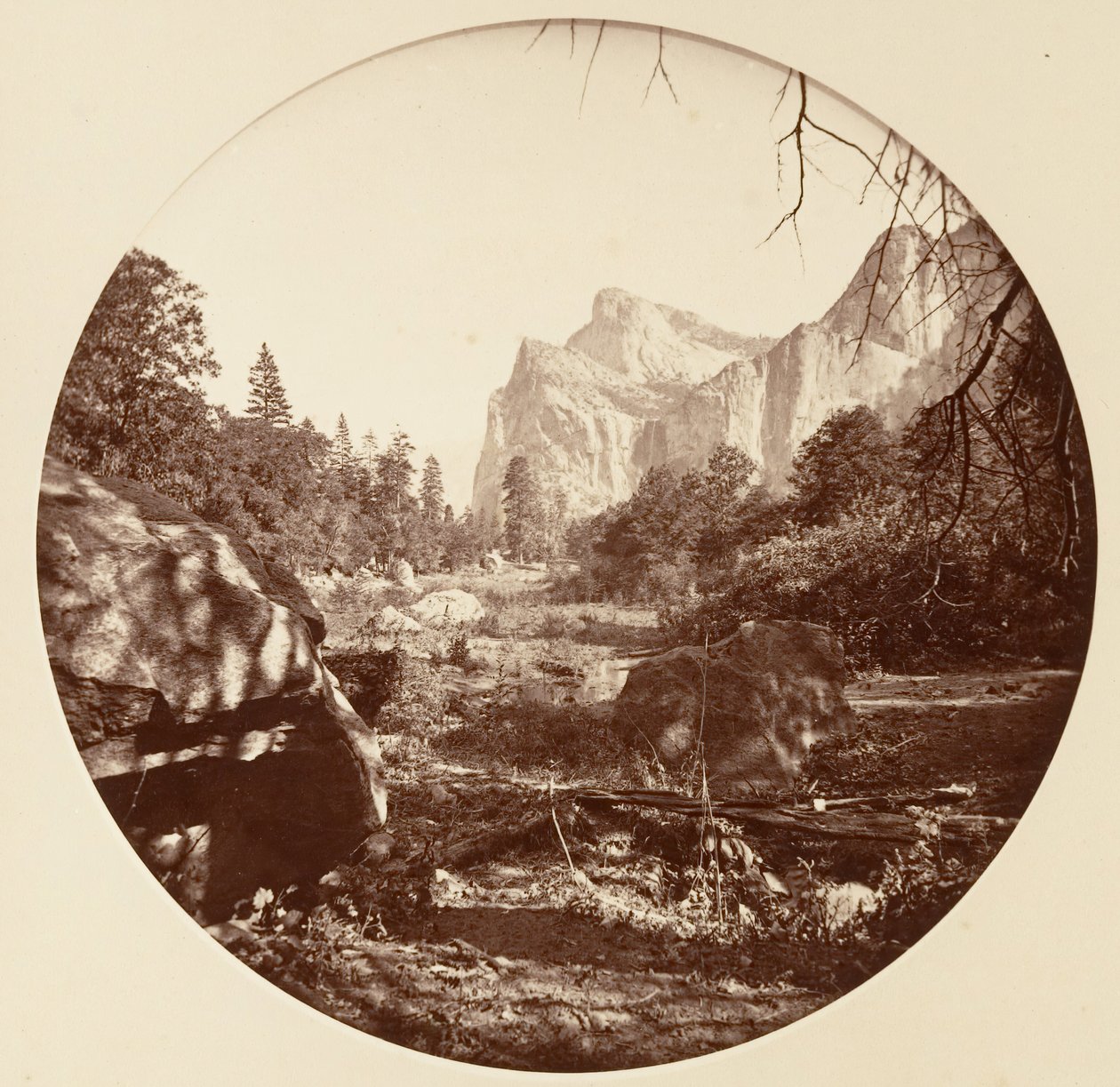 [カリフォルニア州ヨセミテ国立公園]、カリフォルニア州。 1878年。 作： カールトン・エモンズ・ワトキンス