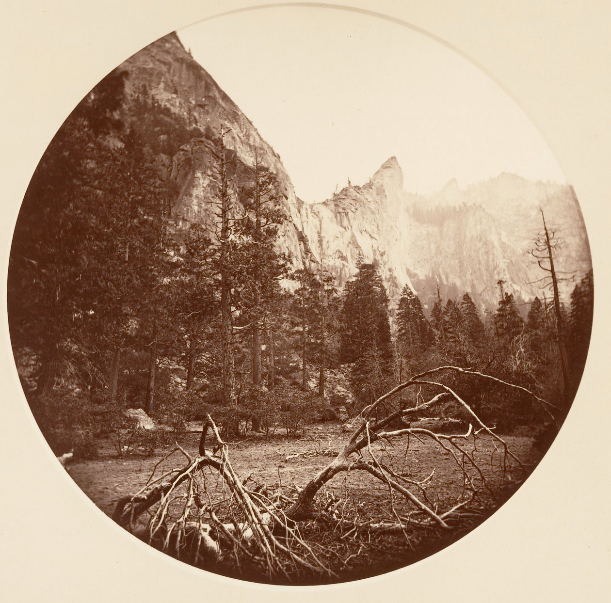 [カリフォルニア州ヨセミテ国立公園]、カリフォルニア州。 1878年。 作： カールトン・エモンズ・ワトキンス
