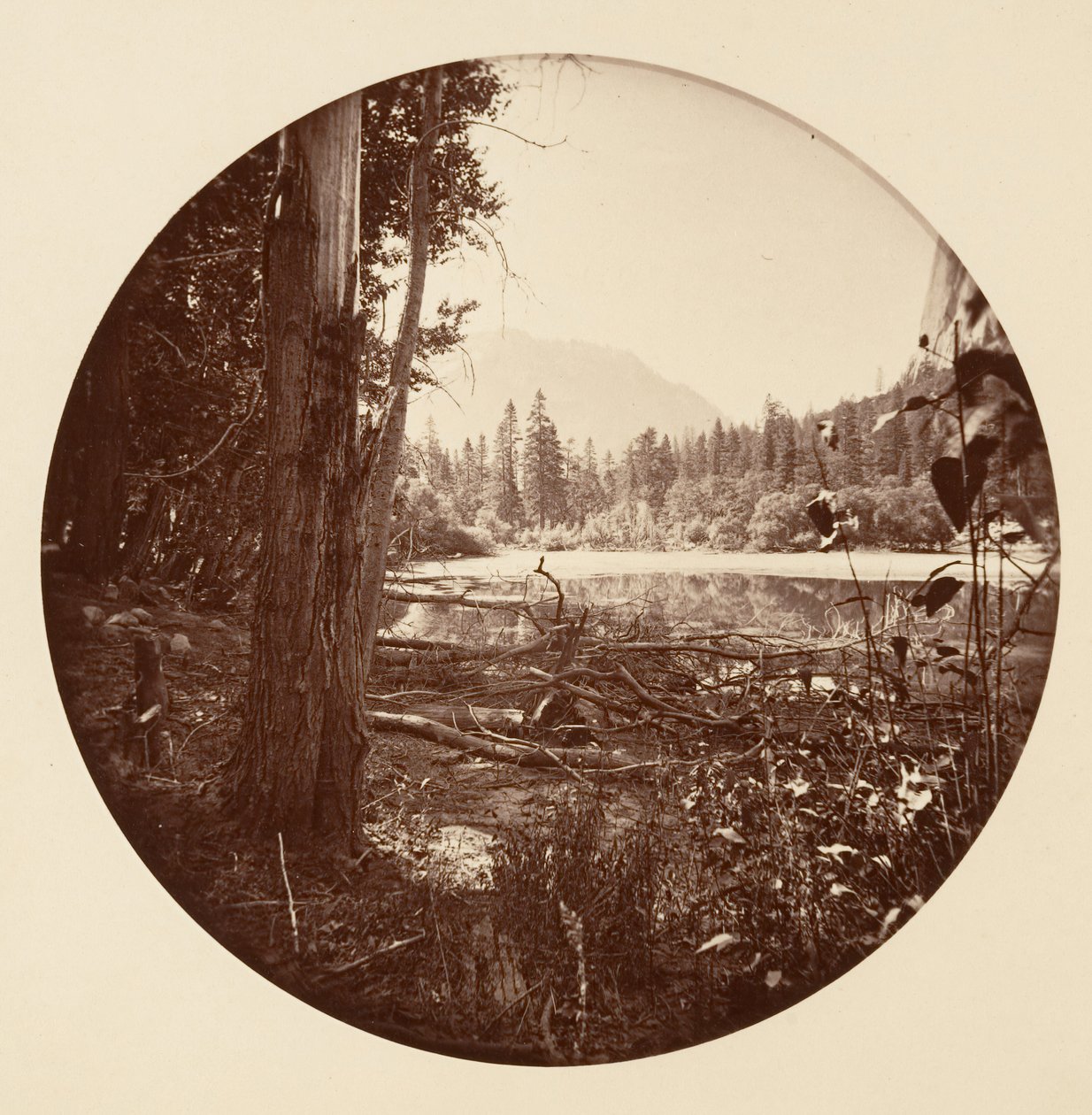 [カリフォルニア州ヨセミテ国立公園]、カリフォルニア州。 1878年。 作： カールトン・エモンズ・ワトキンス