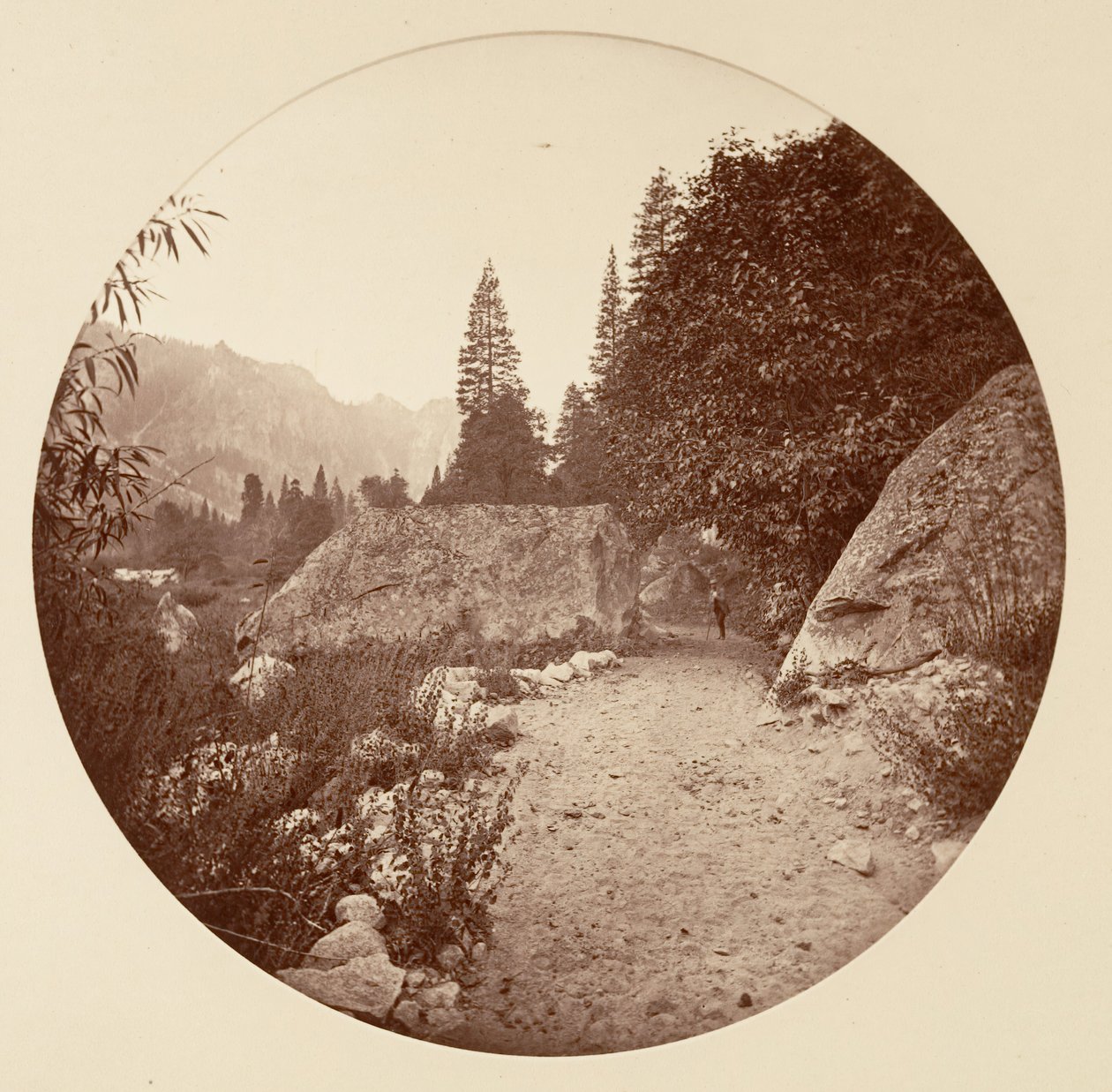 [カリフォルニア州ヨセミテ国立公園]、カリフォルニア州。 1878年。 作： カールトン・エモンズ・ワトキンス