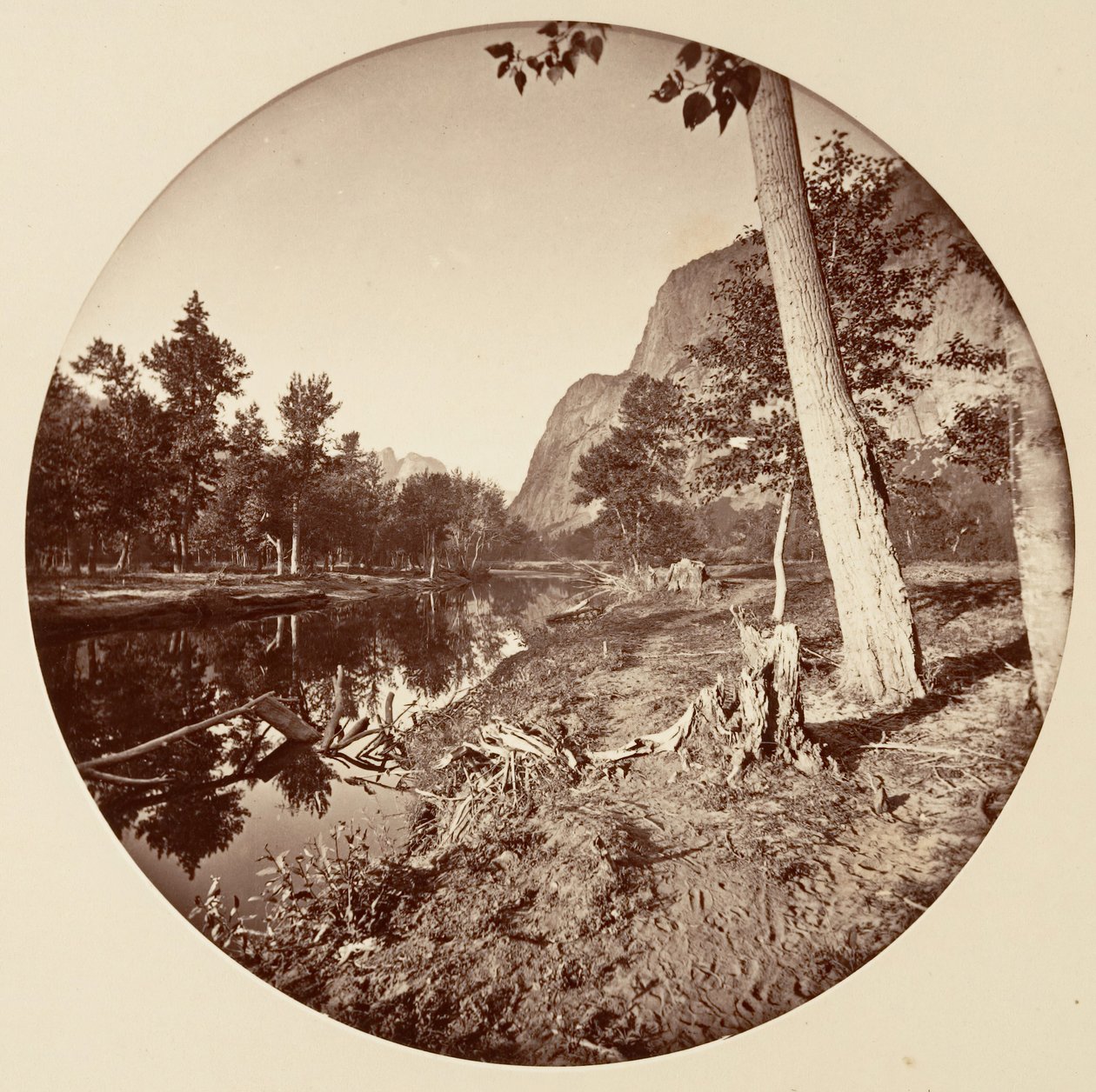 [カリフォルニア州ヨセミテ国立公園]、カリフォルニア州。 1878年。 作： カールトン・エモンズ・ワトキンス