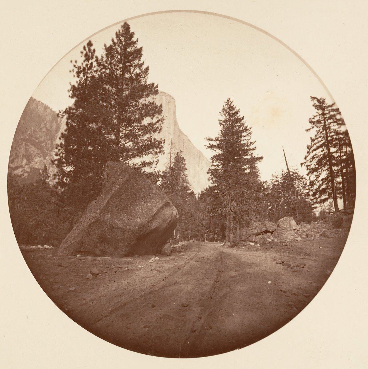 [カリフォルニア州ヨセミテ国立公園]、カリフォルニア州。 1878年。 作： カールトン・エモンズ・ワトキンス