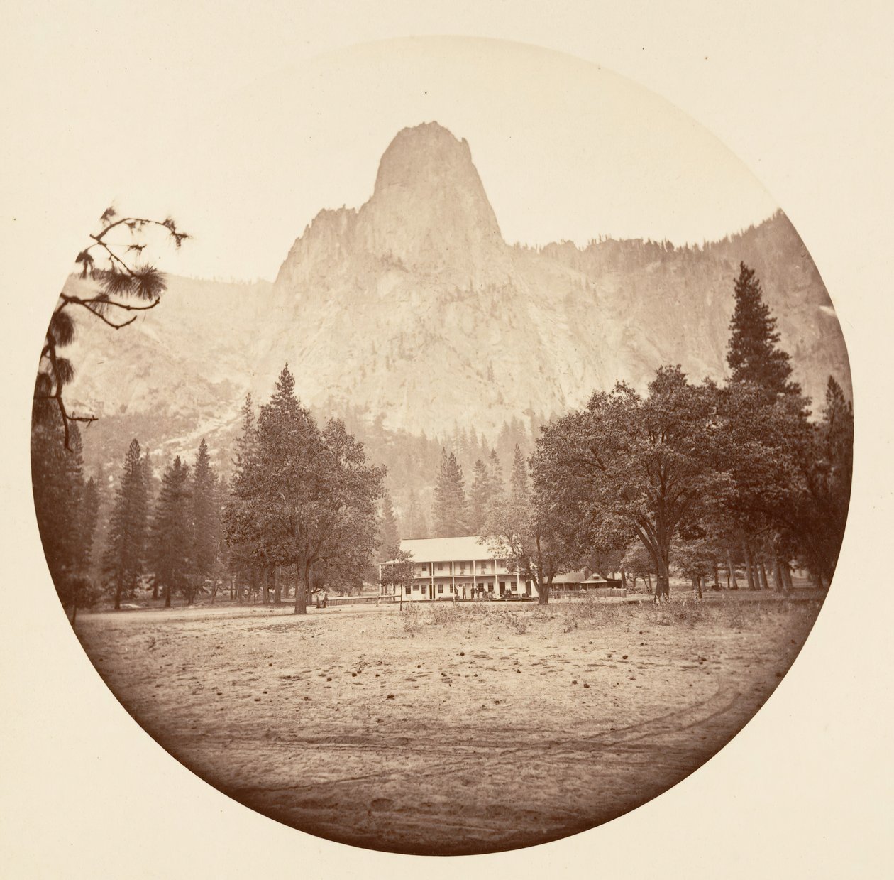 [カリフォルニア州ヨセミテ国立公園]、カリフォルニア州。 1878年。 作： カールトン・エモンズ・ワトキンス