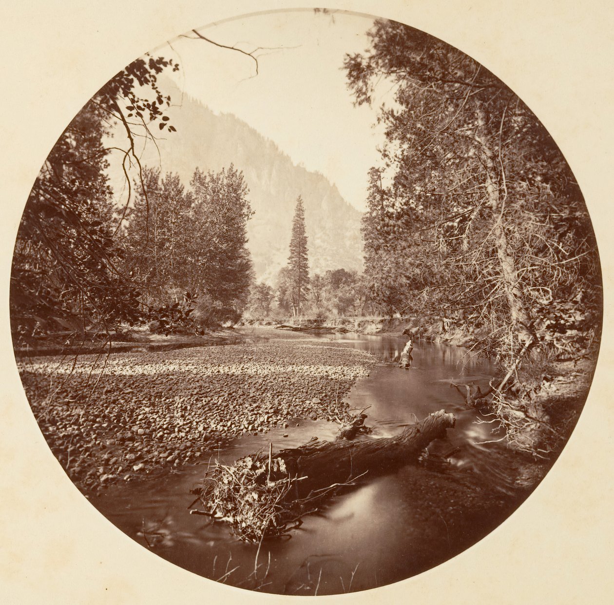 [カリフォルニア州ヨセミテ国立公園]、カリフォルニア州。 1878年。 作： カールトン・エモンズ・ワトキンス