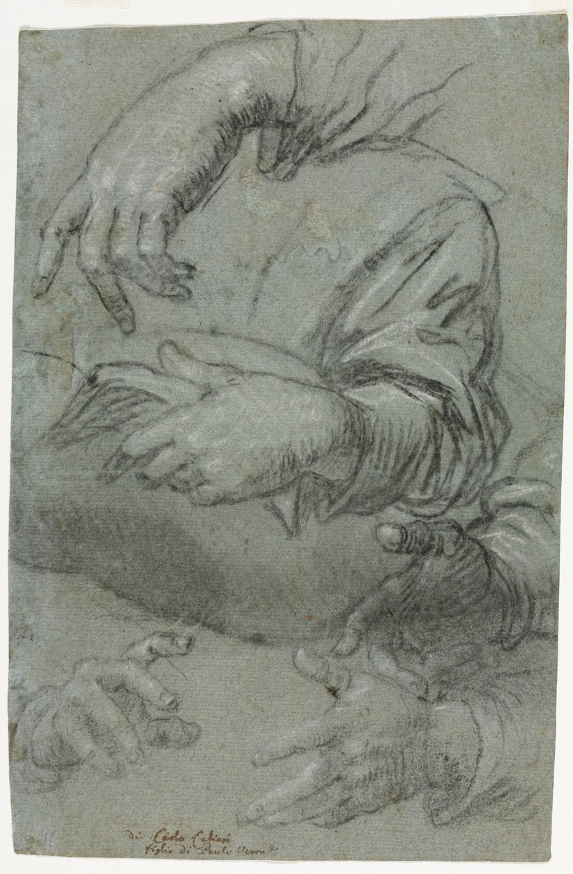 手直腸の研究、c。 1586年。 作： カルロ・カリアリ