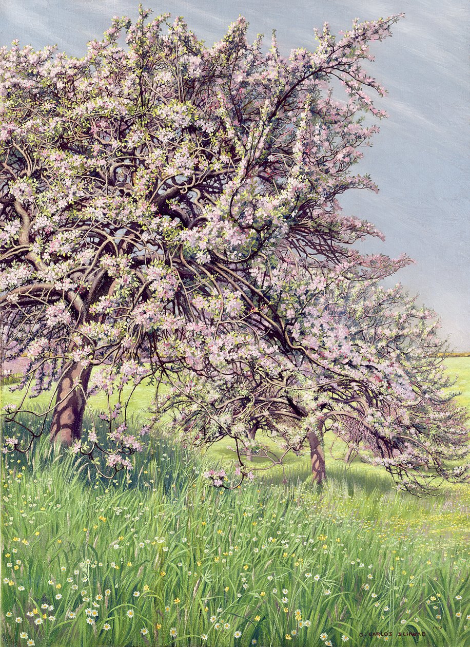 リンゴの木の開花、1912 作： カルロス・シュワーベ