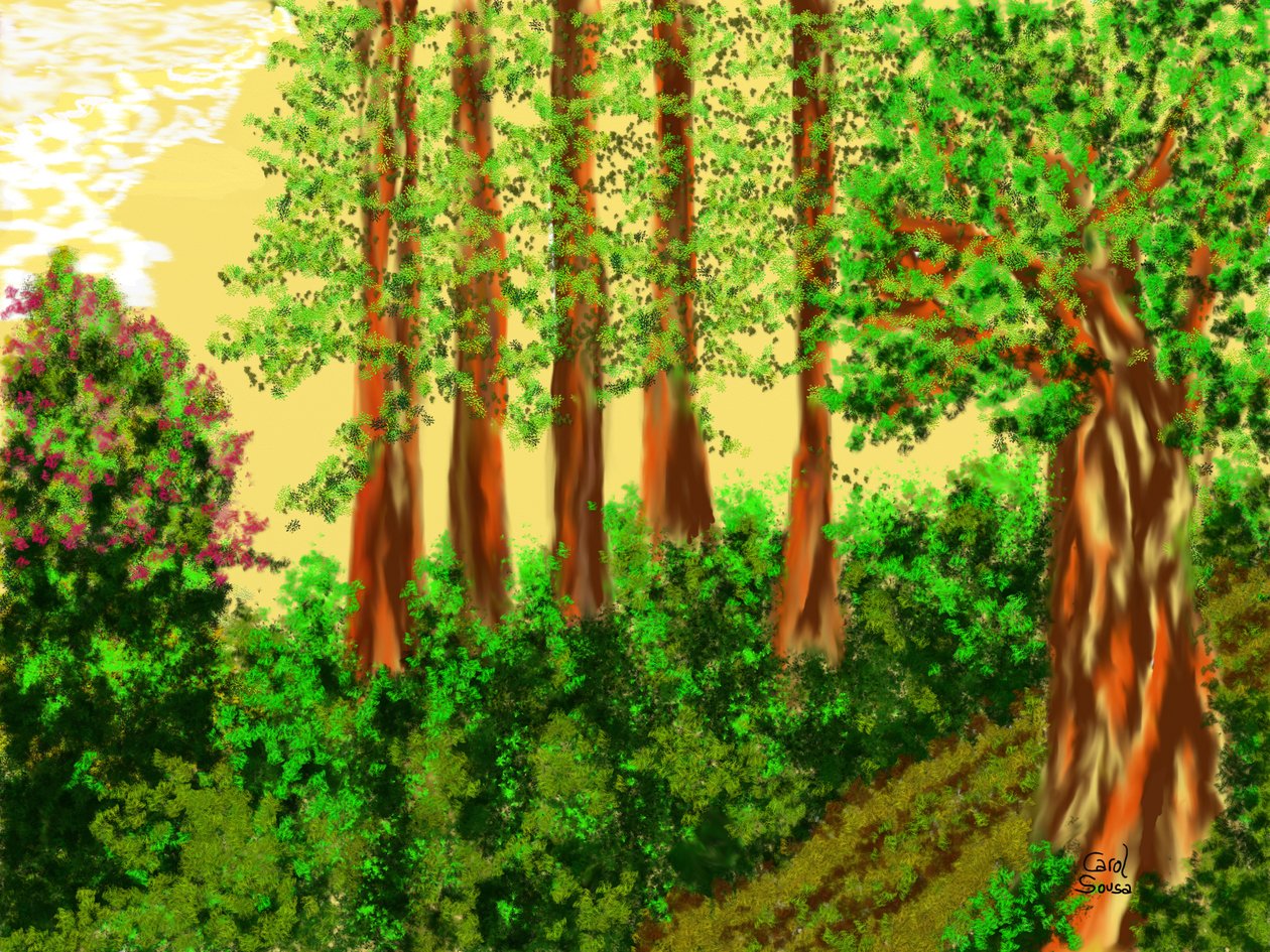 ビーチへの道 作： キャロル・ソウザ・クエロ