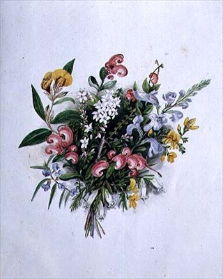 19世紀の夏の花の花束 作： キャロライン・ルイザ・メレディス