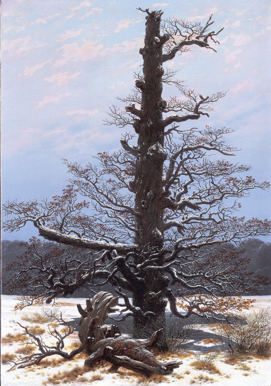 ドイツ語：Eichbaum im Schnee 雪の中のオークツリー 作： カスパー・デイビッド・フリードリッヒ