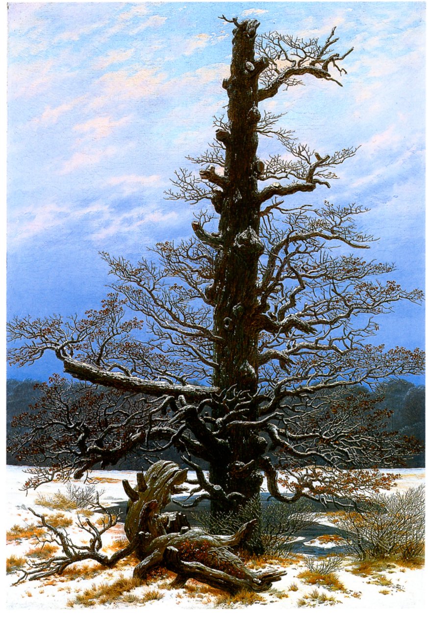 ドイツ語：Eichbaum im Schnee 雪の中のオークツリー 作： カスパー・デイビッド・フリードリッヒ