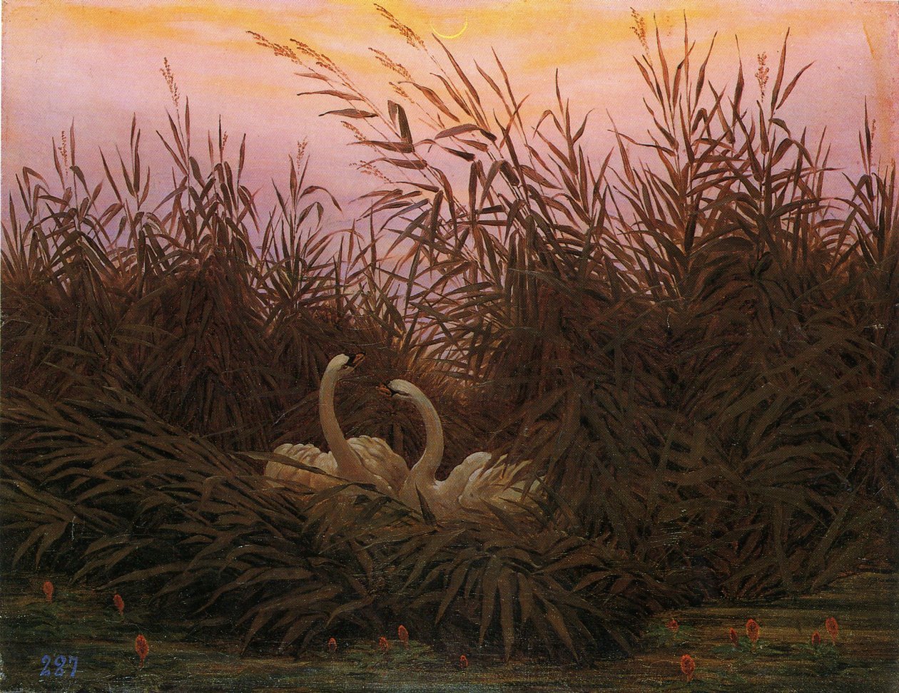 ドイツ語：Schwäne im Schilf beim ersten Morgenrot 最初の夜明けに葦の中の白鳥たち 作： カスパー・デイビッド・フリードリッヒ
